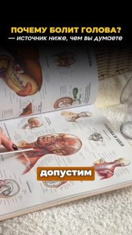 🧠 Шея — ворота к ясной голове!