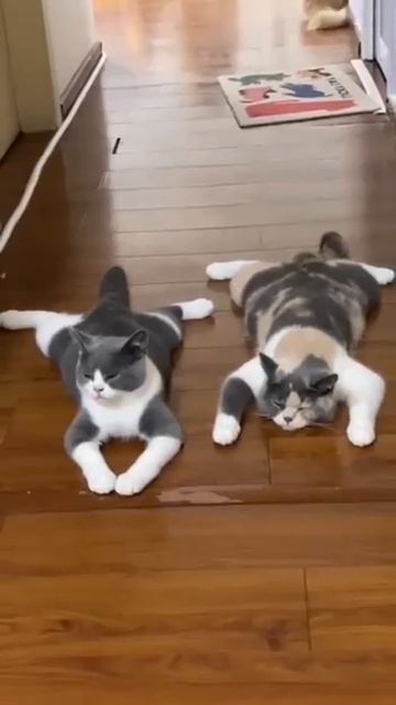 Состояние в конце рабочего дня😂