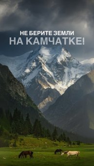 📍О том, как выбирать землю с умом, рассказываю в блоге @natali_sherstovay