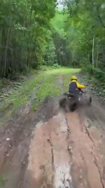 video_10791741360847.mp4