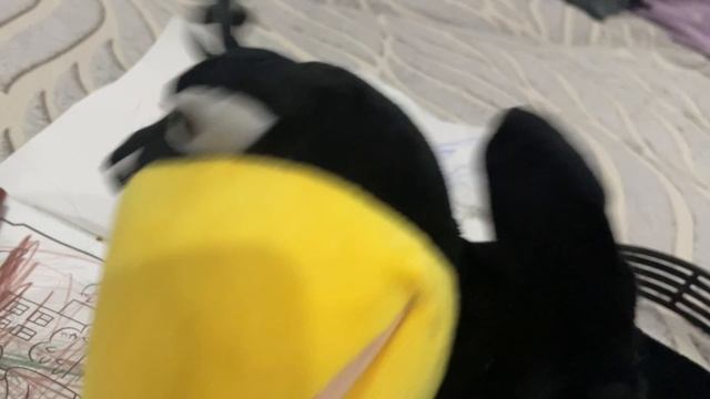 copy_98BC1256-7E44-4C40-9ECA-64060B179054