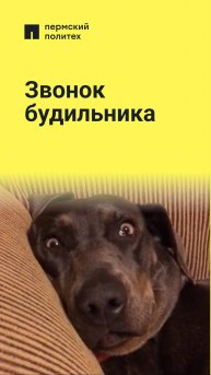 Момент осознания, что тот «тихий фоновый звук», который мне снился, был моим же будильником