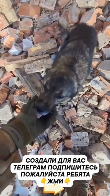 СВО👉ТЕЛЕГРАММ👈