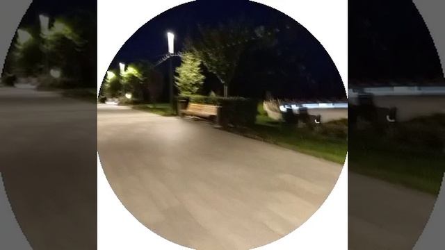 Шагая - размышляем 08.10.2024