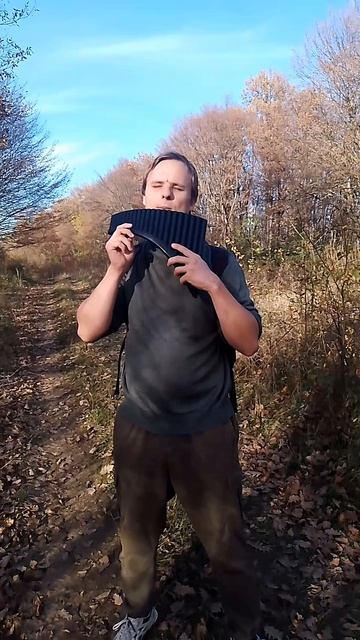 Осенняя флейта в лесу #shorts