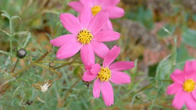 05=11=2025  уни  ПВН   (6)