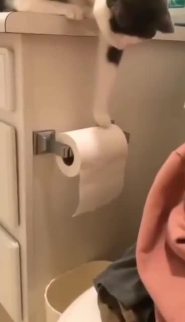 Что такое перфекционизм? Не знаете? Тогда смотрите скорее!💪😻