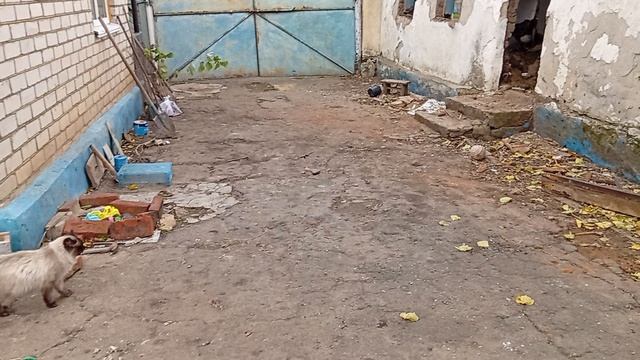 1001061196.mp4 потихоньку убираем кухню ,планы на будущее 🔮