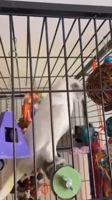 Чувство ритма