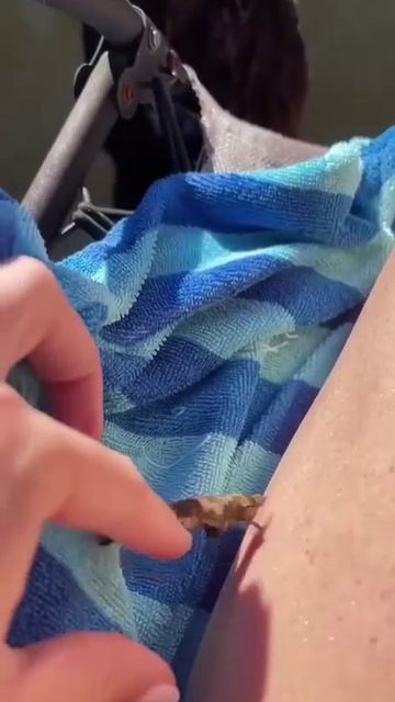 Кинь палочку!