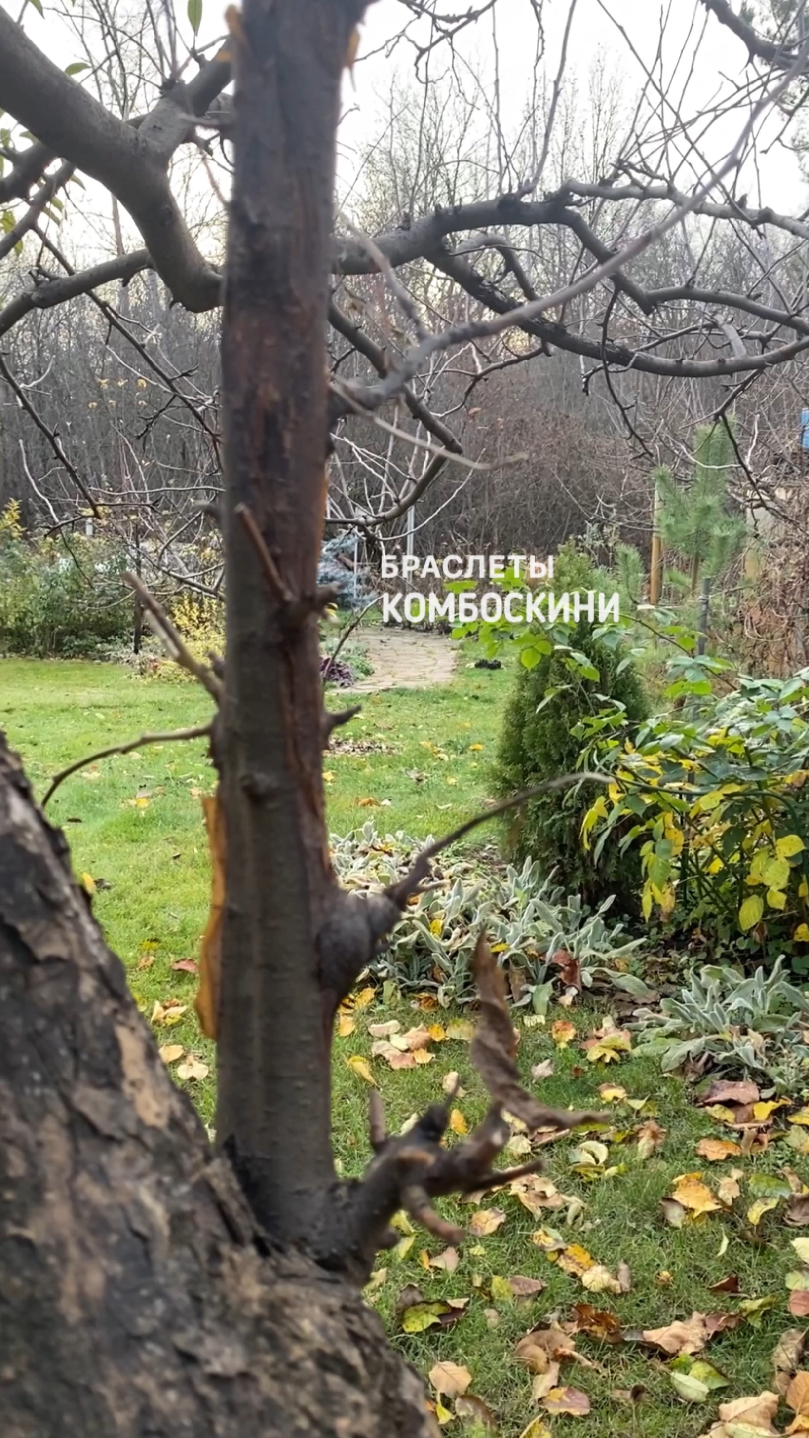 Браслеты комбоскини