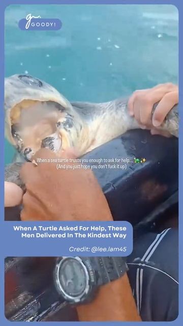 goodymy_official_2025-11-05-00-34-49_1762292089254