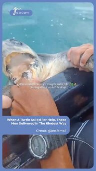 goodymy_official_2025-11-05-00-34-49_1762292089254