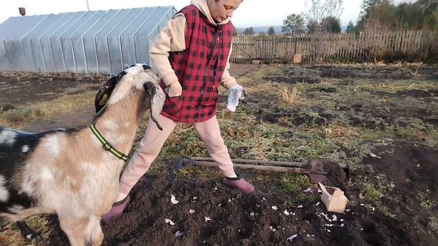 Катя. Моя Зоя. Лес. Тишина.