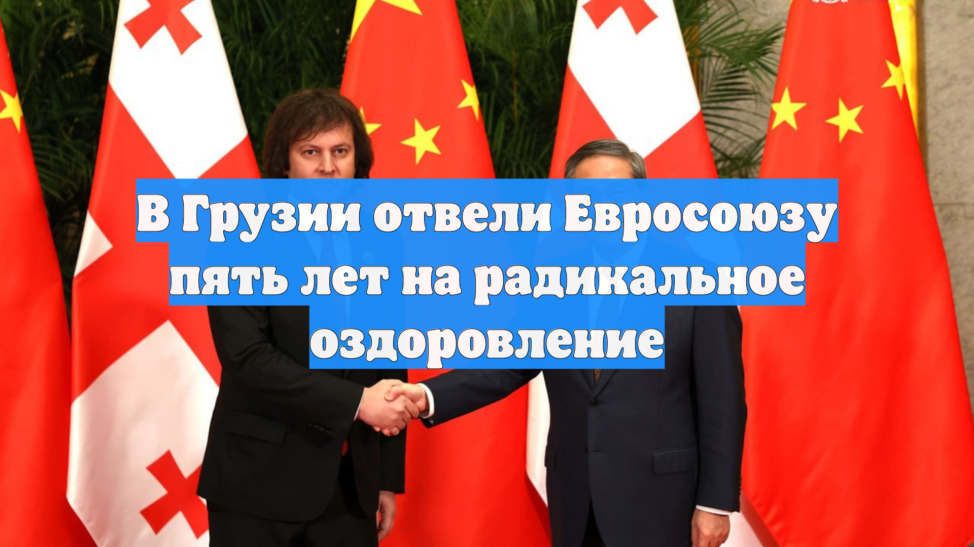 В Грузии отвели Евросоюзу пять лет на радикальное оздоровление