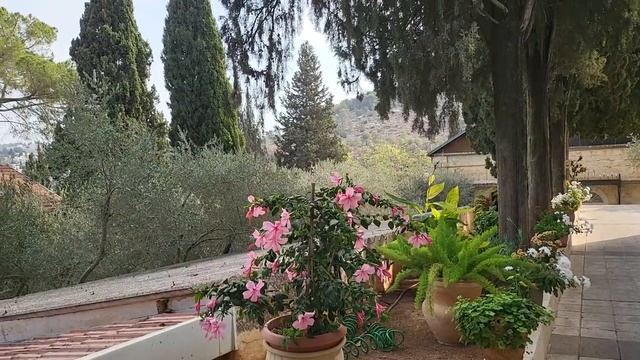 Благодать Горненской святой обители. Медленно обойдём Казанский собор