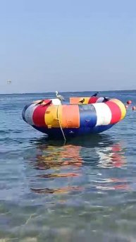 Птичья Карусель! Бесплатная!