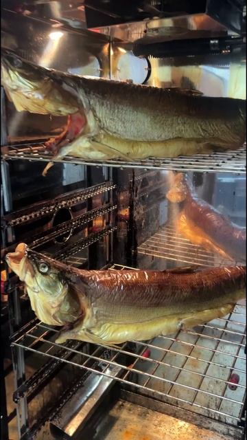 Нельма - царица рек сибирских!