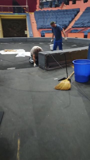 Будни инспектора манежа