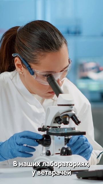 Интервью с птицефабрикой Ярославский бройлер