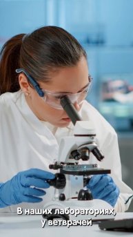 Интервью с птицефабрикой Ярославский бройлер