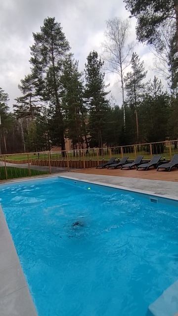 20251026_Бассейн Лесная ласточка