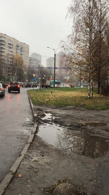 Санкт-Петербург. 05.11.2025. Проспект Энгельса у станции метро «Проспект Просвещения». Эпизод 2