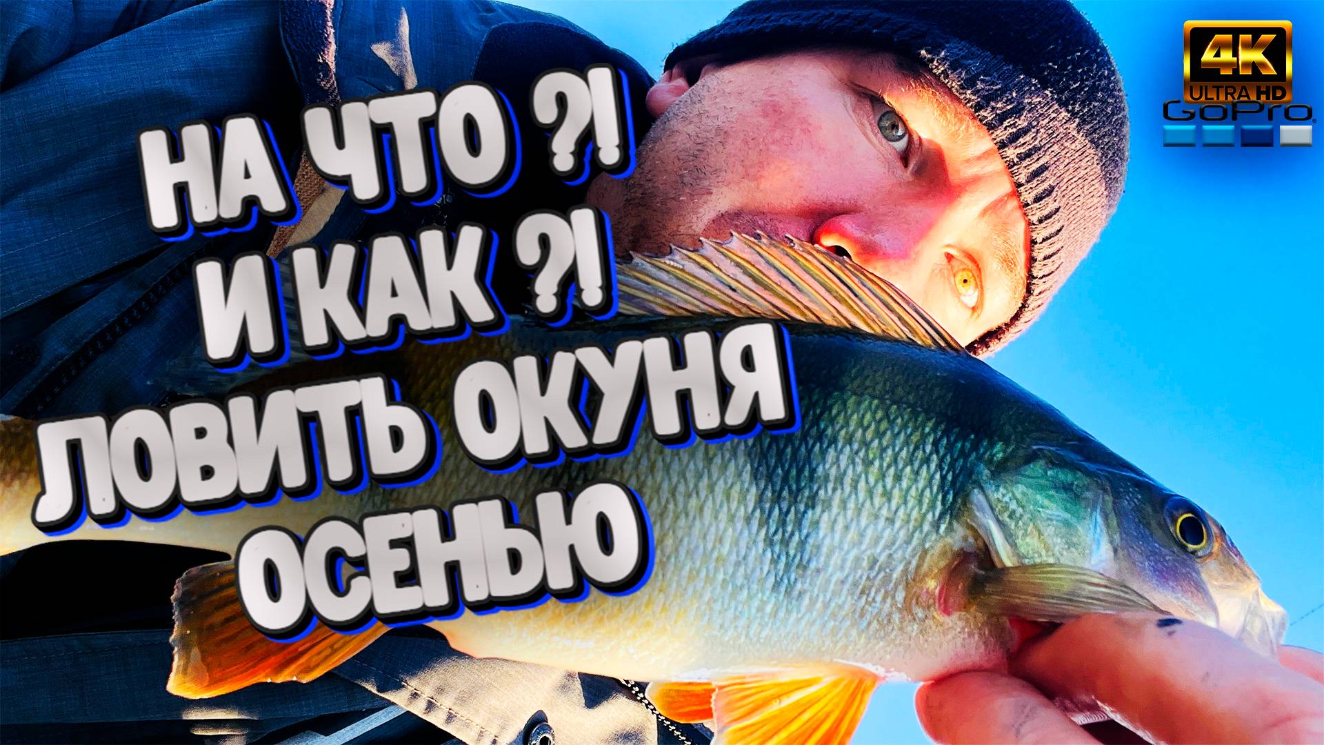 Самый ЭФФЕКТИВНЫЙ способ ловли Окуня осенью ❗