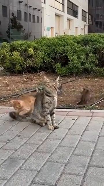 Спокойствие