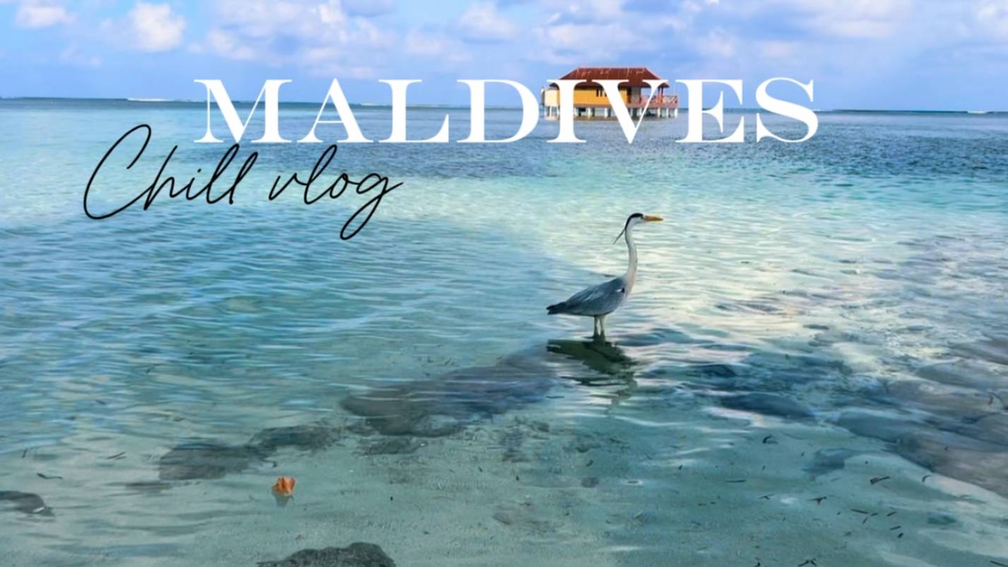 Мальдивские будни Medhuhufushi Island Resort Снова обгорели Наслаждаемся солнцем и океаном 🏝️