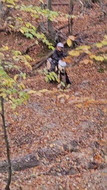 video_2025-11-05_21-48-04