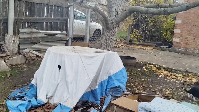 Обзор дачи. Ноябрь 2025