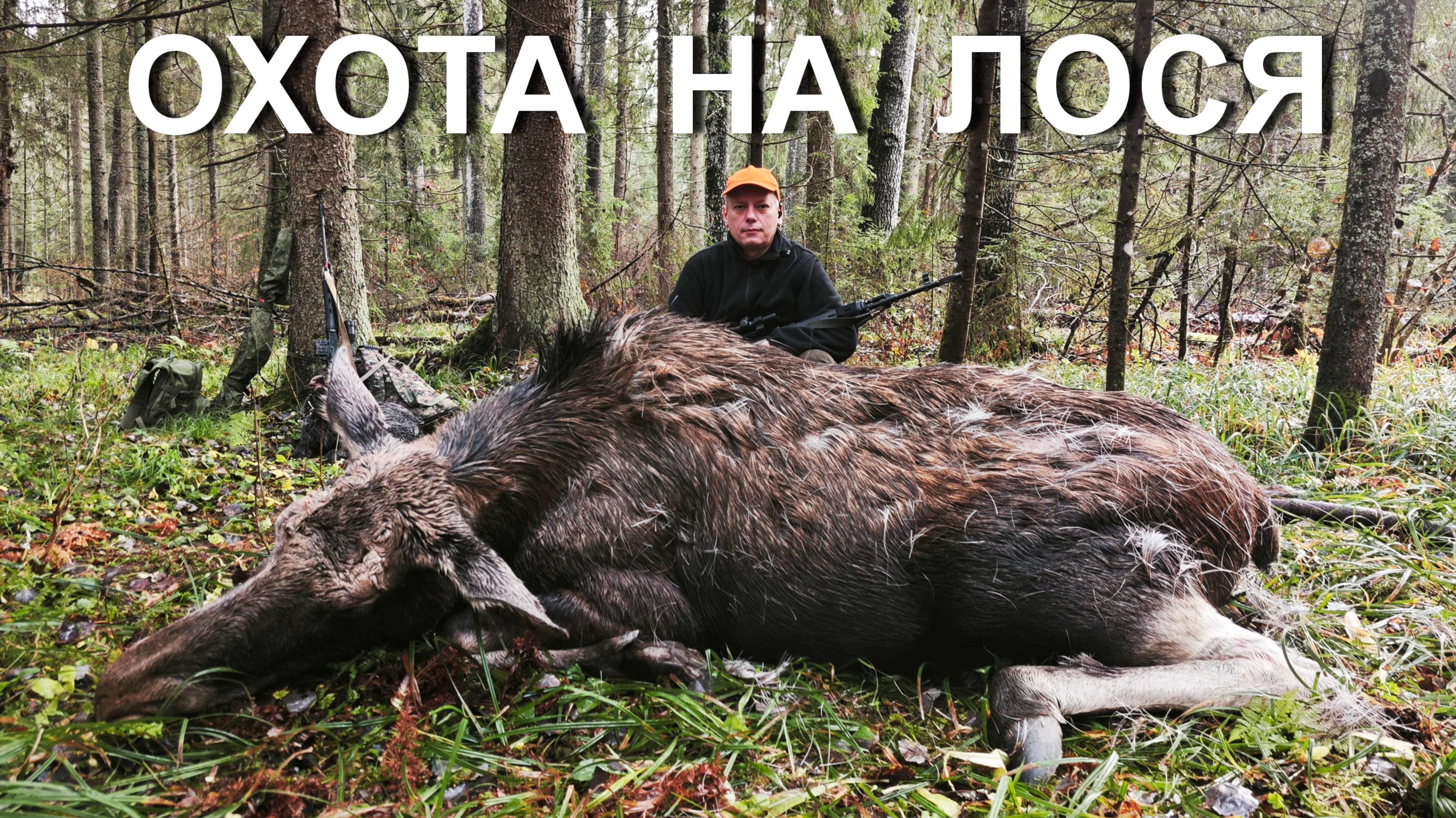 Охота НА ЛОСЯ 💥 КОЛЛЕКТИВ...