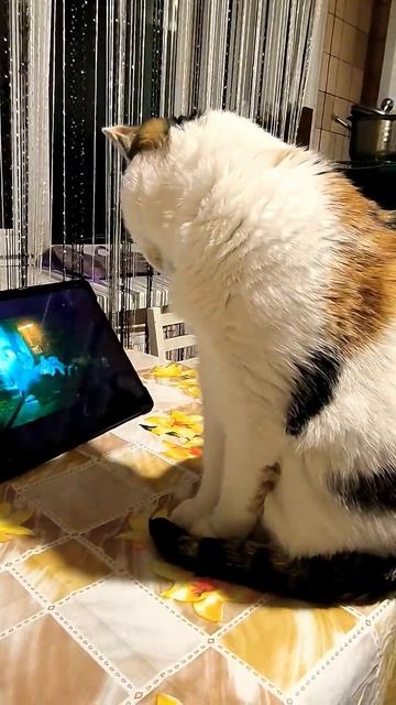 😎нужна надежда