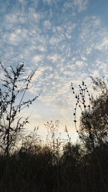 05.11.2025 #сегоднятак #природа #прырода #табиғ #自然 #natureza #natura #자연 #طبيعة #प्रकृति #nature