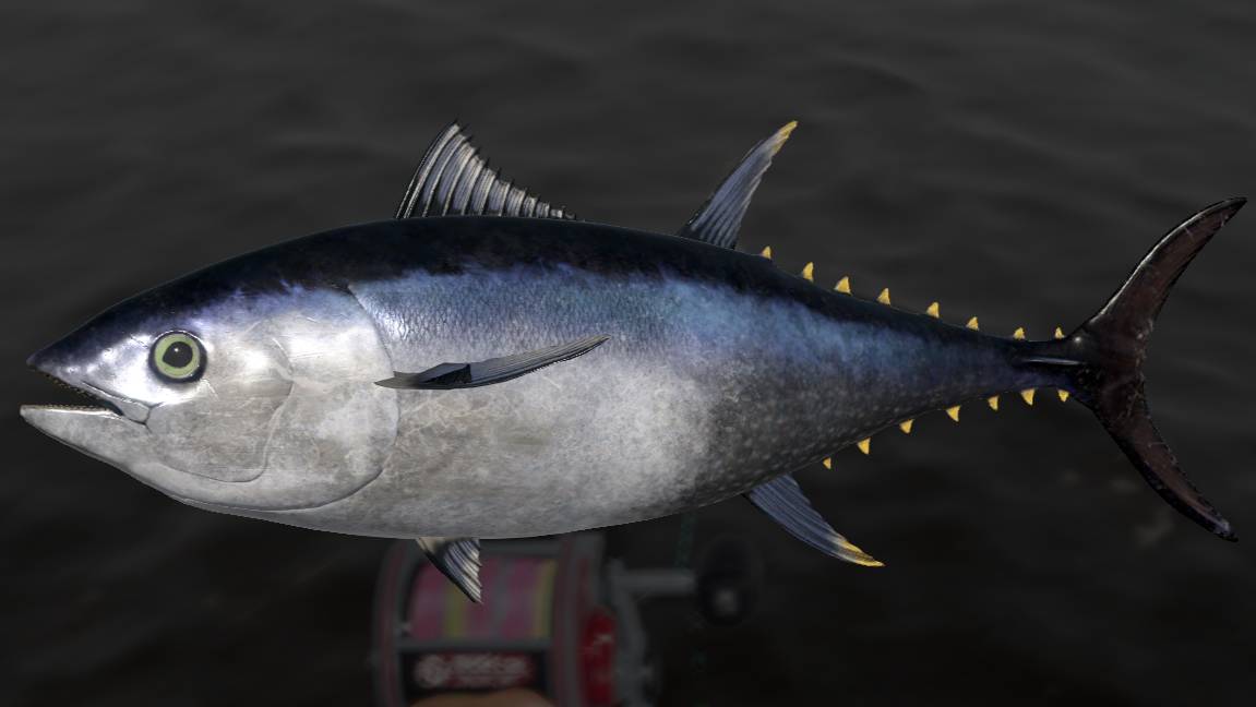 Русская Рыбалка 4 !!!