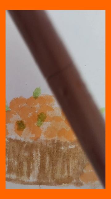 И снова мандарины !