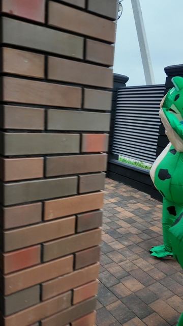 Жизнь за городом - свежий воздух\природа\дикие лягушки