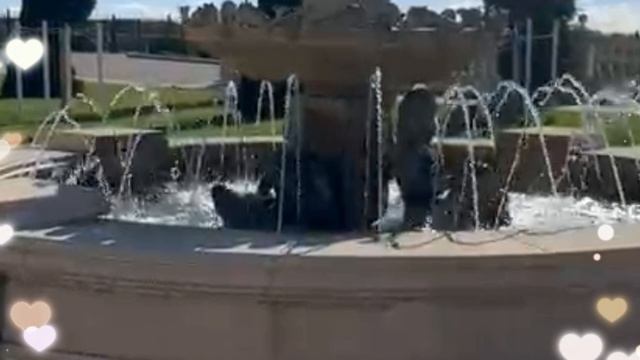 Шато де талю геленджик сегодня ресторан, экскурсии бронирование, гостевой дом www.aaamore.ru