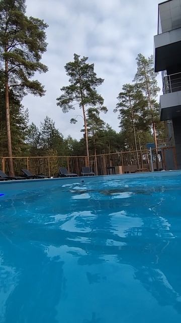 20251026_Бассейн Лесная ласточка Алина плавает