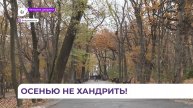 Приморские врачи регистрируют частые обращения людей по поводу осенней хандры
