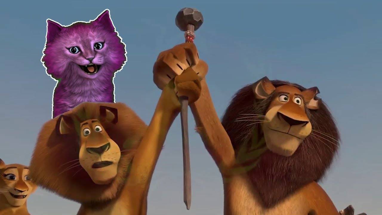 Веселые футбол в Мадагаскар 2 с говорящим КОТЕНКОМ АБИ 🐱 Madagascar 2 #235