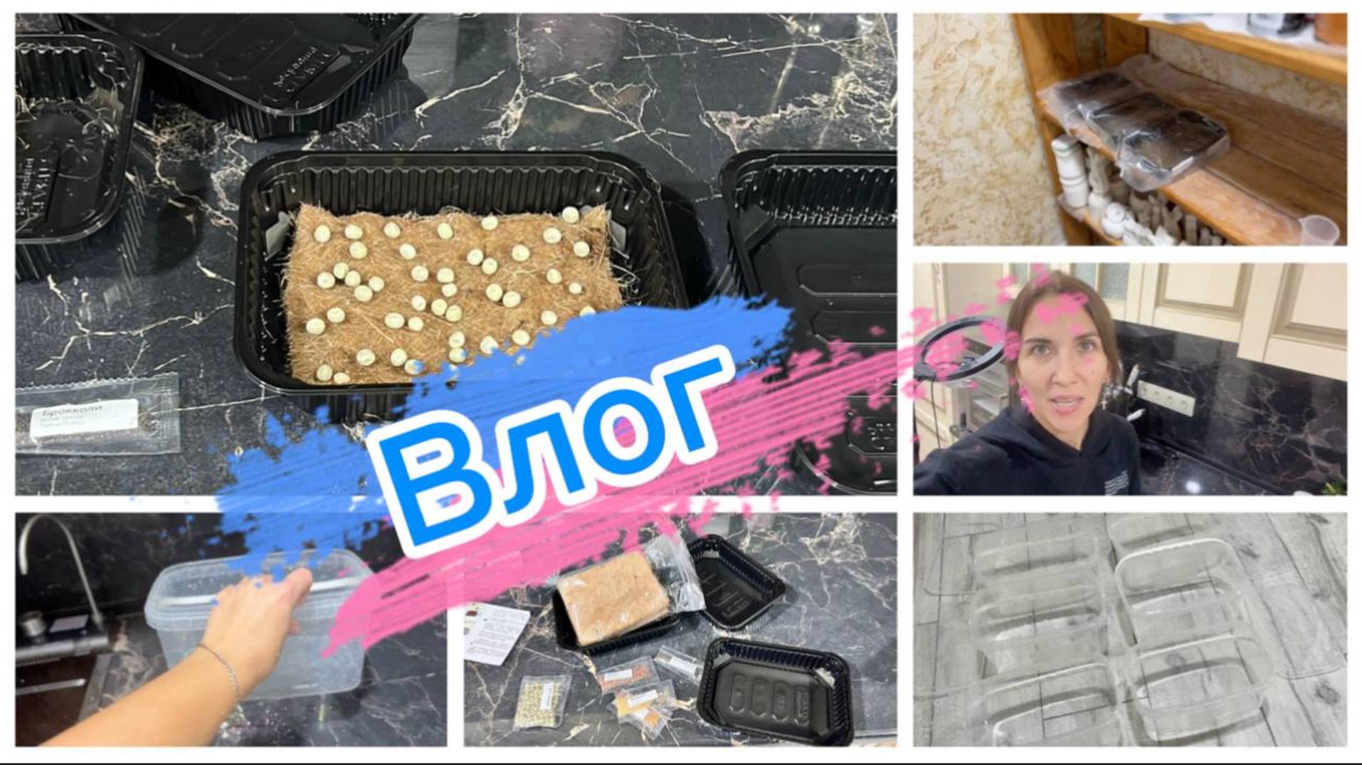 Эксперимент с микрозеленью, процесс посева