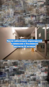 Число заболевших норовирусом в гимназии в Ульяновске достигло 13 человек