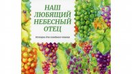 Последние рассказы