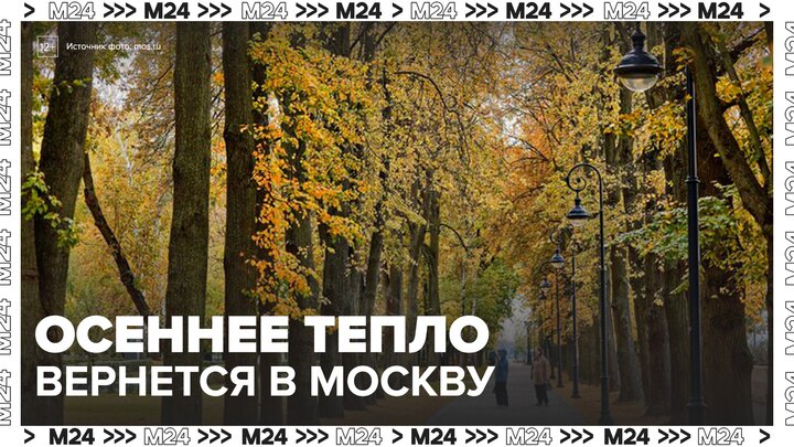 Температура воздуха достигнет 10 градусов в Москве в выходные - Москва 24