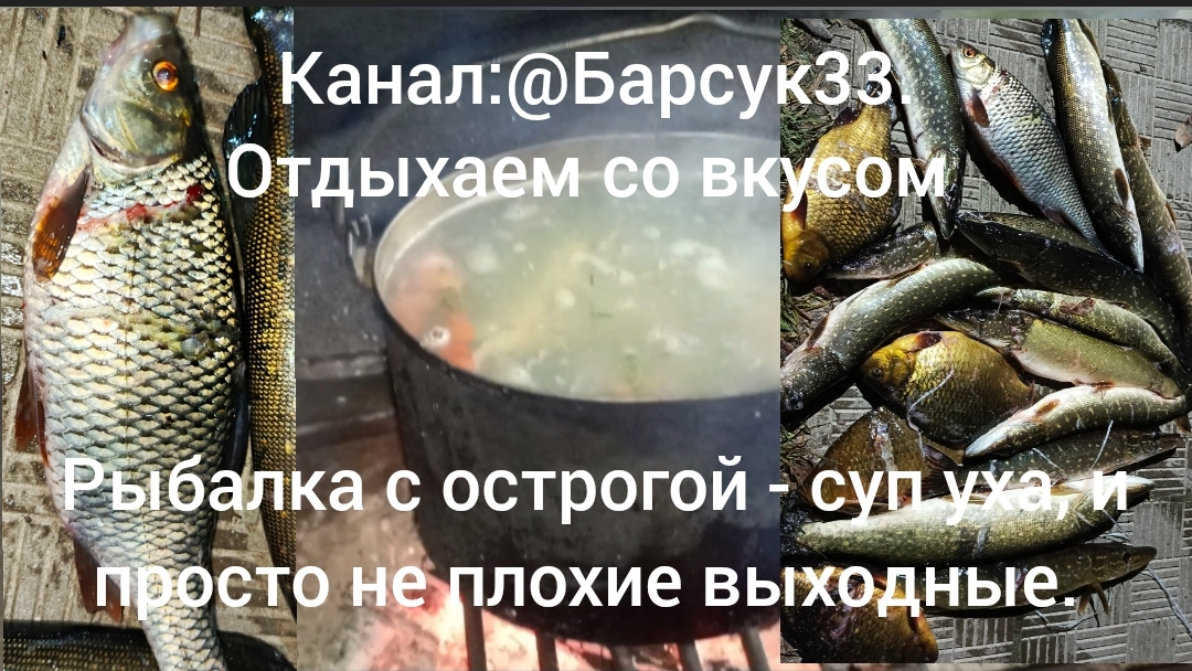 Рыбалка с острогой, уха из речной рыбы и просто не плохие выходные.