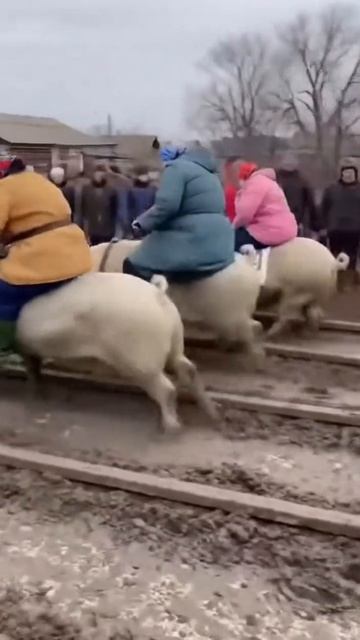 AQOQ9Tz094x2chNxf2bTC5wZajxn3hdw4RAUgLuaIhaEZQl6c0EFbw4O4PN_IjPLhfCWW