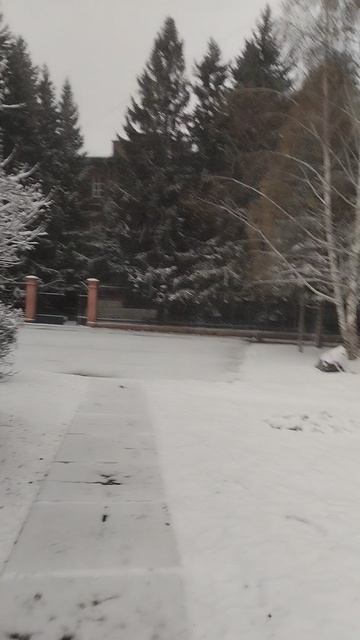 падал белый снег ❄️