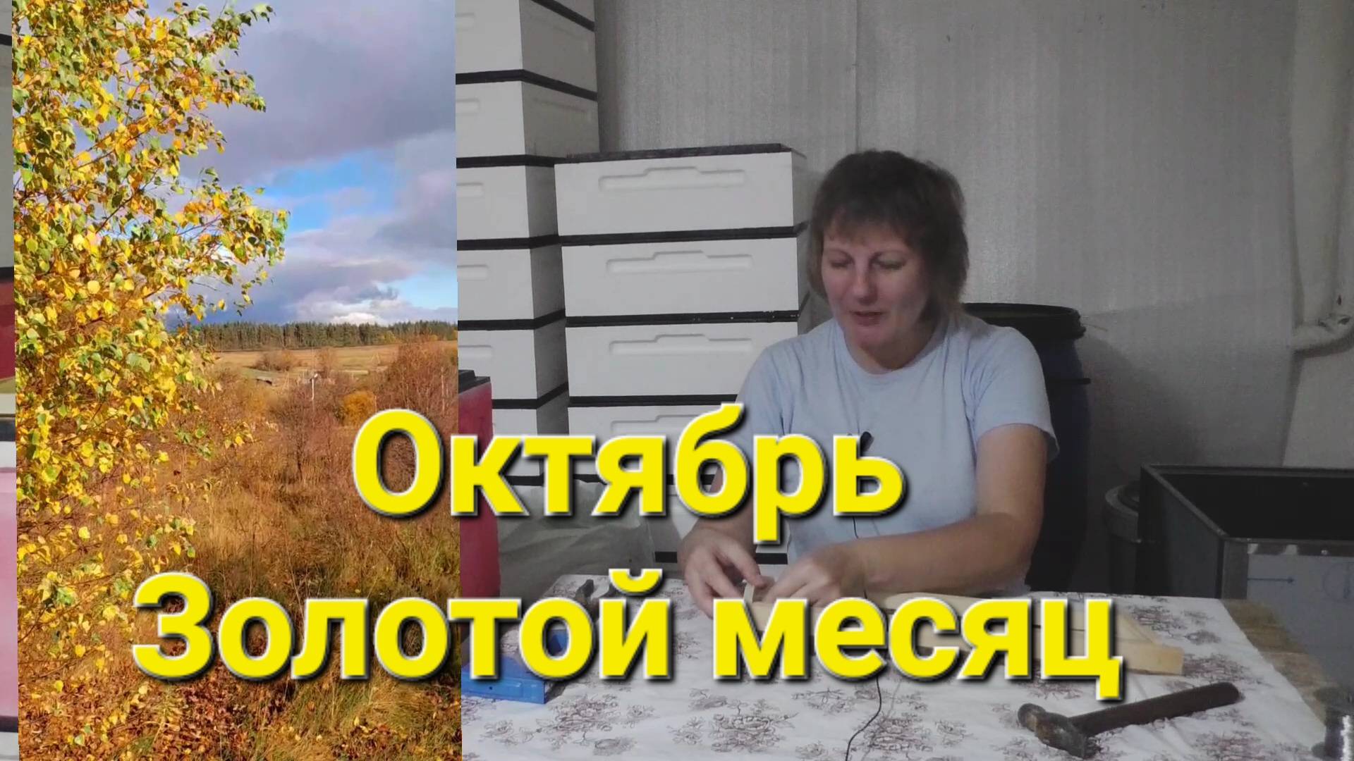 ОКТЯБРЬ.Тур выходного для по Липецкой области.